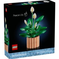 Lego Botanicals Skrzydłokwiat 11504 - maly_1[95].jpg